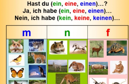 Немецкий язык как второй иностранный язык 5 класс тема "Животные"