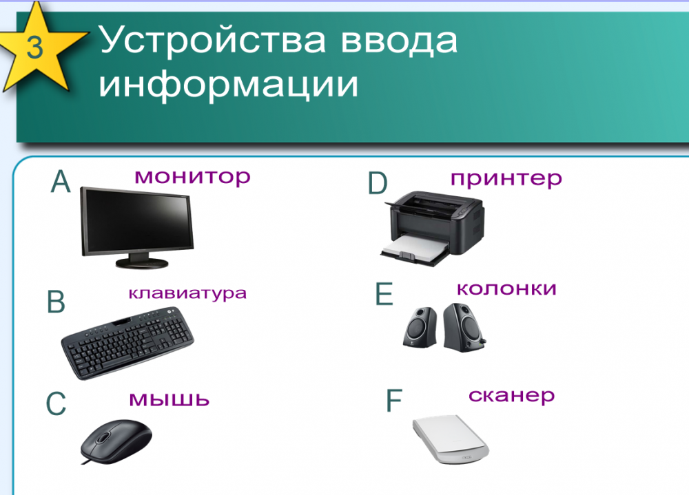 5 устройство ввода информации. Устройства ввода информации клавиатура мышь. Монитор принтер клавиатура монитор. Монитор принтер колонки. Устройства вывода информации клавиатура мышь.